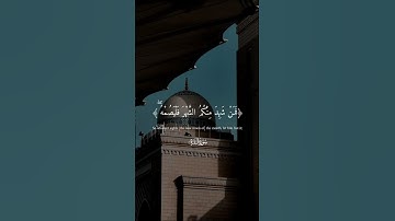 شهر رمضان 🥺🤍 #quran #قرآن #قران #راحة_نفسية #ماهر_المعيقلي #شهر_رمضان #سورة_البقرة