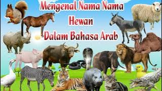 Mengenal Nama Nama Hewan Dalam Bahasa Arab