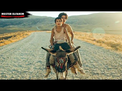 جوج دراري قهرهم الفقر في العراق وقر روا يسافروا لأمريكا على ظهر حمار