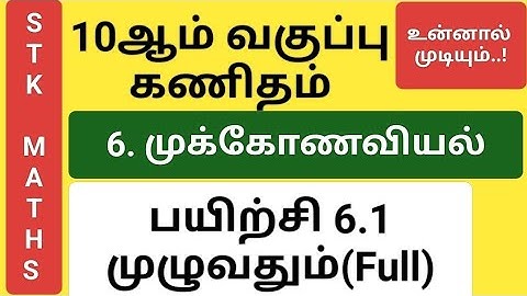 10th Maths Tamil Medium Chapter 6 Exercise 6.1 Full Sum 1, 2, 3, 4, 5, 6, 7, 8, 9 And 10