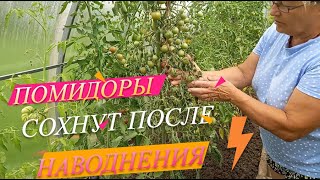 видео: После затопления нашей дачи, какие последствия? Цветы Залили бетонную плиту для строительства гаража картинка: После затопления нашей дачи, какие последствия? Цветы Залили бетонную плиту для строительства гаража