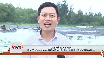 [TIẾNG CHĂM] NUÔI TÔM TRÊN CÁT CẦN HƯỚNG ĐI BỀN VỮNG | VTV5