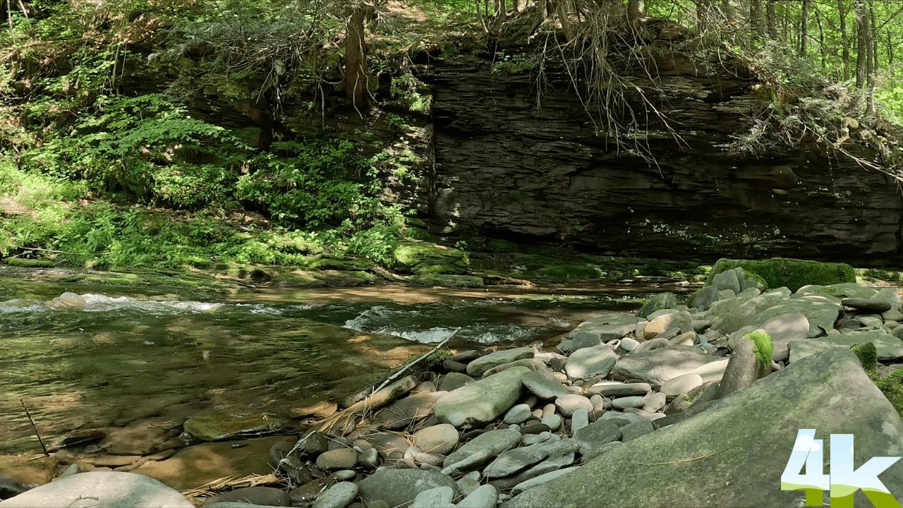 Peaceful River Flowing In The Pennsylvania Grand Canyon In The Heart Of the 