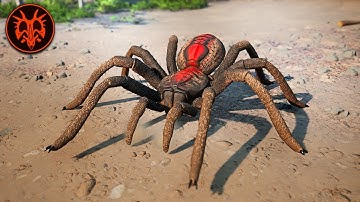 Een gigantische spin is NU op het pad van de Titanen