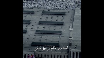 "وأذن في الناس بالحج يأتوك رجالًا"تلاوة بديعة بمنتهى الروعة والجمال كأنك في الحرم 🕋