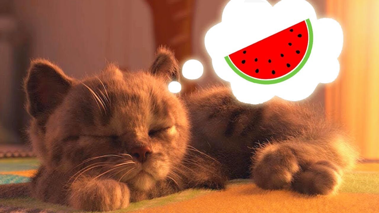 Little Kitten #8 My Cat Pet Care Let's play Fun Cute Kitten Care Games