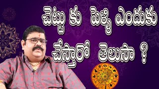 Kuja Dosha Nivarana Telugu |కుజదోషం నివారణ | Venuswamy Astrology | Navagraha Mantra | Samskruthi TV