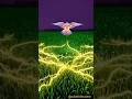 The Kestrel’s "UV Vision" (The Urine Tracker)