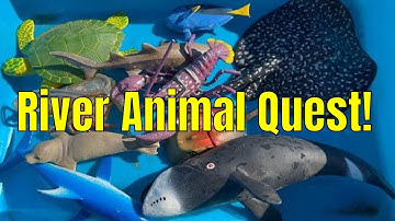 River Play: Learn Sea Animal Names for Kids | Fun Water Toy Adventure
