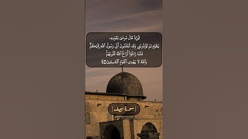 سورة الصف الآية ٥ بصوت الشيخ محمد صديق المنشاوي