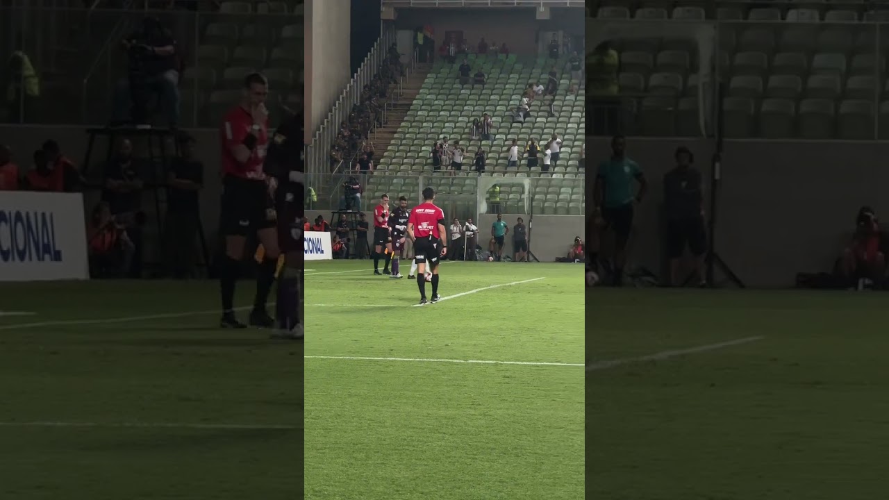 GALO VENCE e ESTÁ na FINAL!