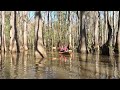 Congaree National Park 3.19.24