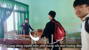 Lớp 12A9 trường THPT PHAN CHU TRINH - Đắk Nông