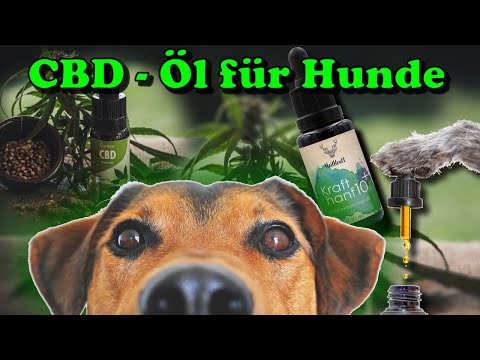 Video: Hanföl für Hunde: Ein umfassender Leitfaden zu seinen Vorteilen, seiner Sicherheit und seiner Anwendung