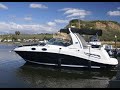 Sea Ray 260 Sundancer Deck & Cabin Tour by South Mountain Yachts