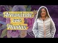 ARMONIZA TU ENTORNO CON PLANTAS | Mónica Koppel