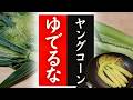 【ヤングコーン】の美味しい食べ方！驚くほど美味しくなる！