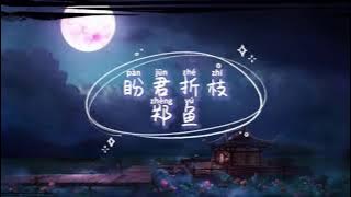 郑鱼 - 盼君折枝 Pan Jun Zhe Zhi 歌词 『你走后 山河为谁留 折扇情厮守 千山暮雪才看透』