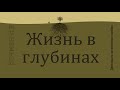 "Жизнь в глубинах" Вочман Ни