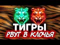 ВЗВОД НА ТИГРАХ ☀ Рвём рандом в клочья ☀ Уровень нагиба МАКСИМАЛЬНЫЙ