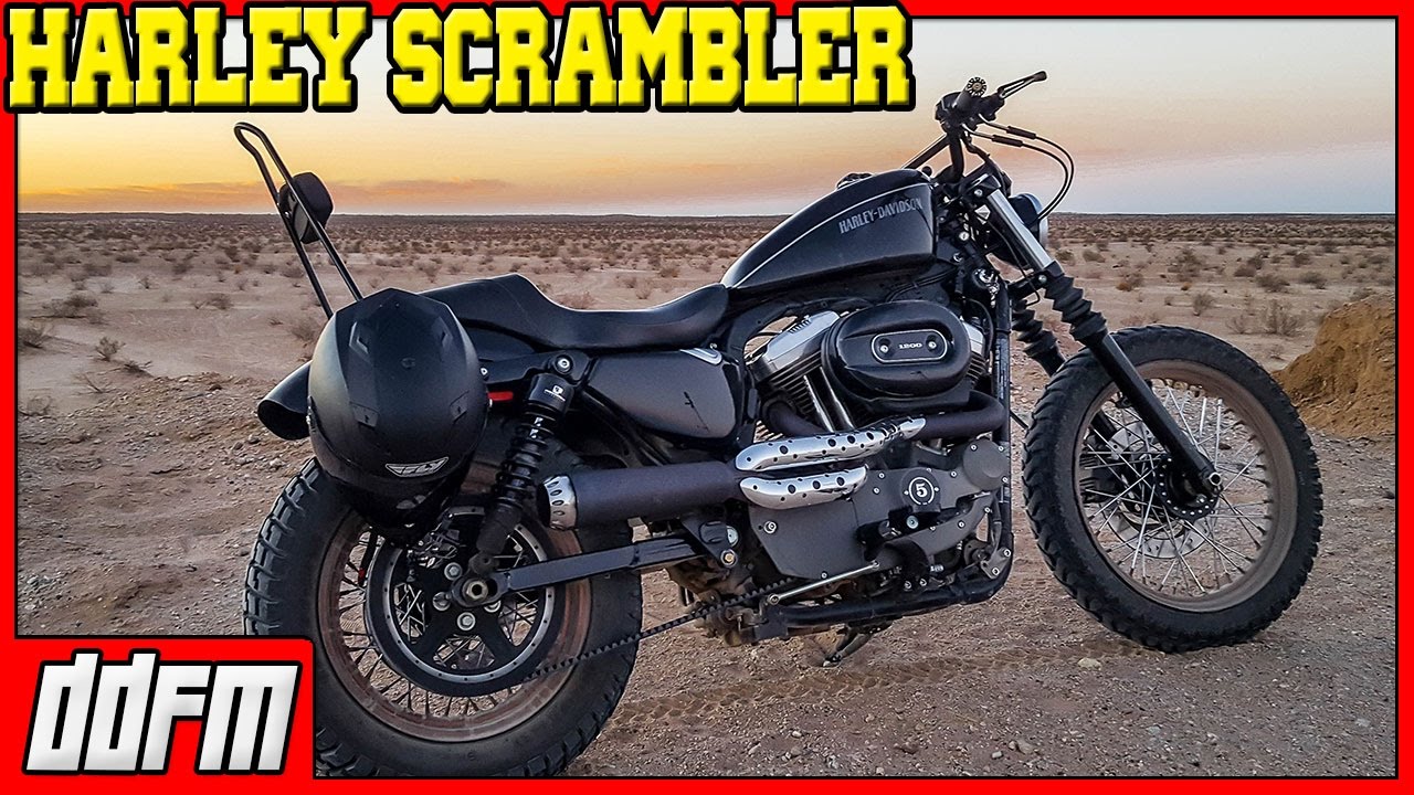 sportster 1200 scrambler