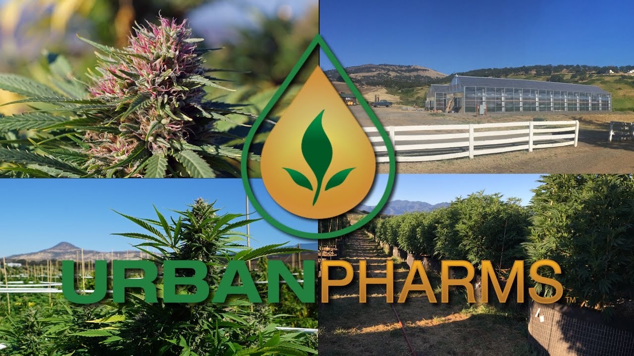 GreenHouse Partner for APB and Urban Pharms