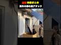 海外の危険なハチの巣駆除の瞬間😱😱 #海外 #shorts #蜂の巣