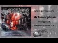 PERTNESS - Metamorphosis - Snippets