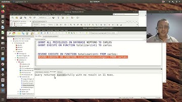DBBDD 13 Bug en permisos de postgres