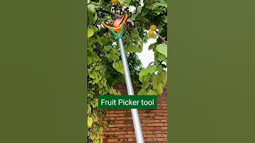 Multifunctional 3-Claw Telescopic Fruit Picker | Pick Fruits from High Trees Easily!