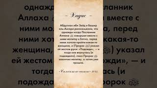 Важность защиты молитвы: Пророк ﷺ не позволил пройти перед собой