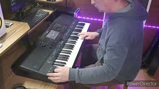 Спикер Мен     Everybody Wants To Rule The World  (Tears for Fears)  cover  Yamaha psr SX 700