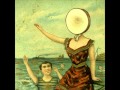 Two-Headed Boy Part 1 & 2 - Neutral Milk Hotel