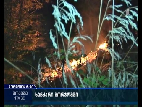 განადგურებული ტყის მასივი ბორჯომის რაიონში - რა გახდა  ხანძრის გაჩენის მიზეზი
