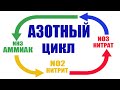 Азотный цикл в аквариуме простым языком !