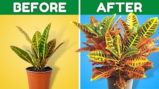 10 Ways To Turbocharge Your Plants Growth