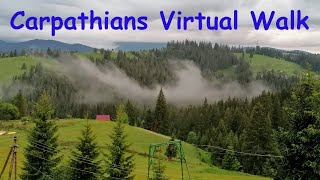 Ukrainian Carpathians virtual walk