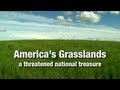 America's Grasslands: A Threatened National Treasure