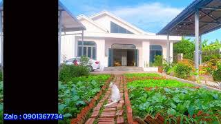 Real pictures of a level 4 house with a cool green garden by CANXI 2X 188 views 8 months ago 2 minutes, 21 seconds