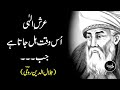 Rumi  spiritual sufi mystic words  adab