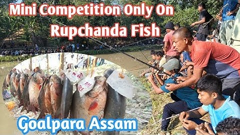 Mini Competition Only On Rupchanda Fish Goalpara Assam Dimapur to Goalpara Travel Vlog 