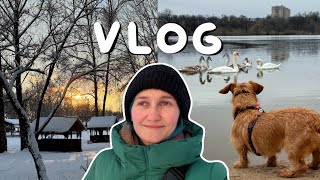 Шалене життя, Посткросинг, Собака | Vlog