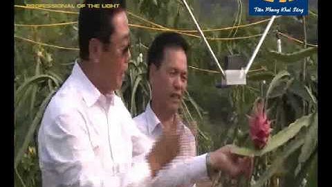 HUMITSU - SỬ DỤNG ĐÈN LED TRONG NGÀNH NÔNG NGHIỆP TRỒNG TRỌT