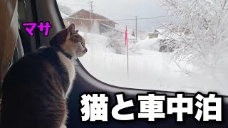 Winter car camping with cats as the rain changes to snow