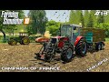 Animal care & baling straw bales | Campaign Of France | Farming Simulator 2019 | Episode 13