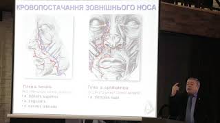 Анатомія, фізіологія носової порожнини, приносових пазух та та остіомеатального комплексу