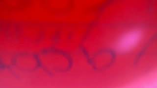 Consultation Discounts: Chaturbate, niteflirt, iwantclips, manyvids, camsoda, loyalfans