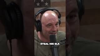 Wild Elk Hunt Takes Terrifying Turn Hunters Face Off Against Massive Wolf Pack