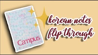 Korean Notes Flip Through | My BEST notes ever ✨