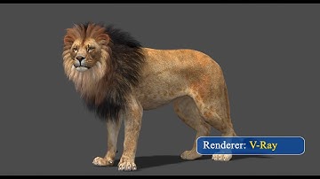 Rigged Lion 3D Model for Game and VR | PROmax3D
